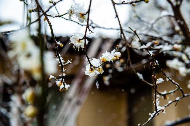 在她轻描淡