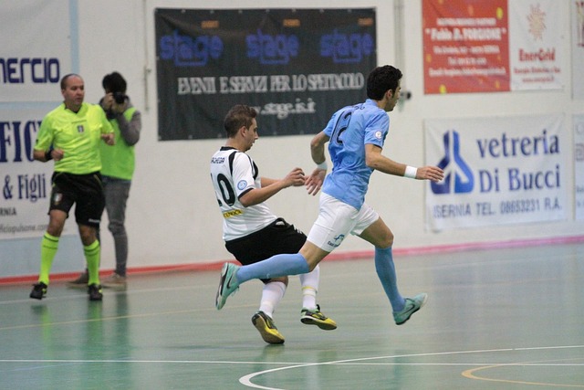 马来西亚公 马来西亚公