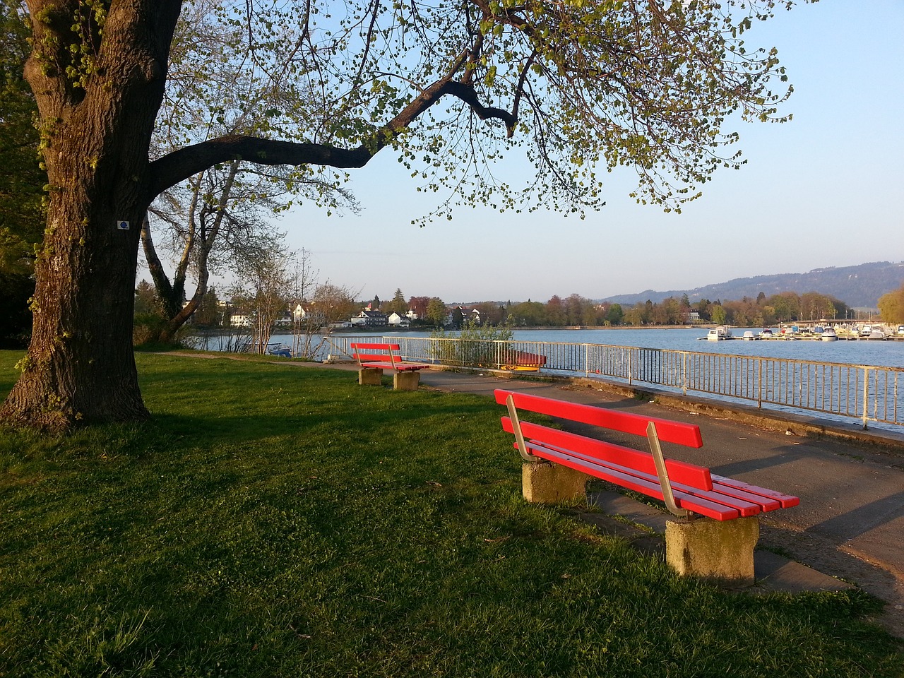 更凭借超凡 更凭借超凡