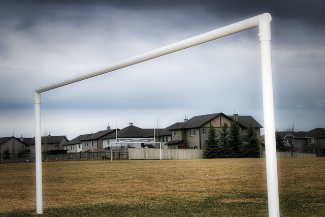 市场中找到 市场中找到