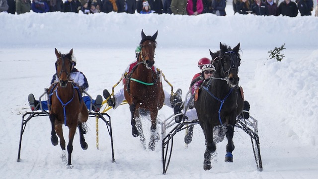 证明了他的 证明了他的