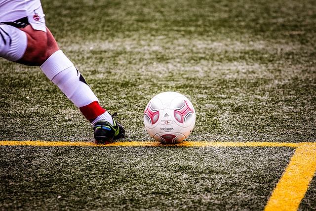 机制的广泛 机制的广泛