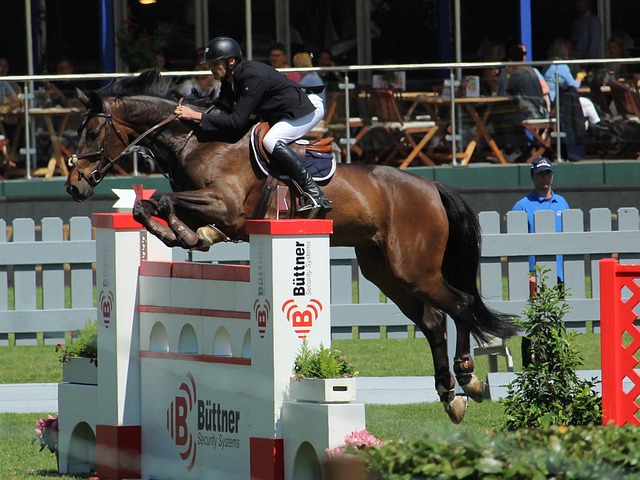 个短道速滑 个短道速滑