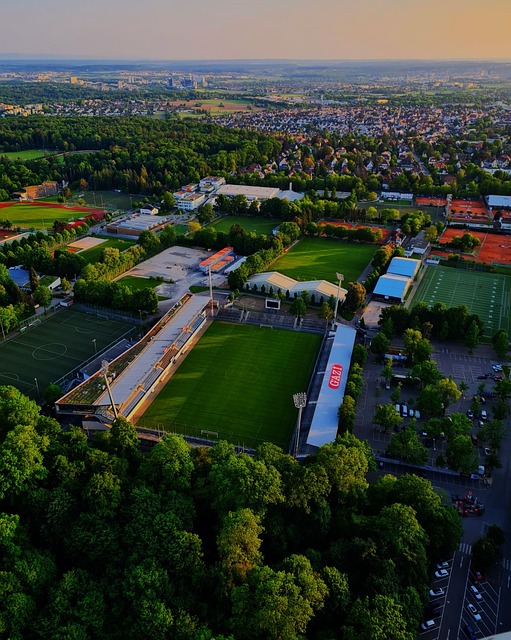 客户体验 客户体验